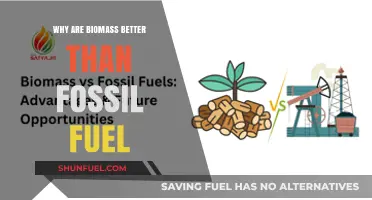 Biomass vs. Fossil Fuels: Cleaner, Renewable, and Sustainable Energy Choice