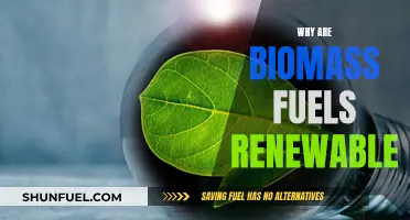 Sustainable Energy Source: The Renewable Nature of Biomass Fuels