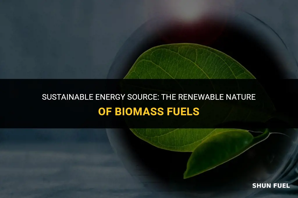 why are biomass fuels renewable