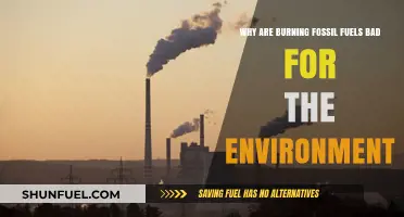 Fossil Fuels: Damaging Our Planet's Health