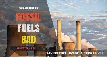 The Devastating Impact of Burning Fossil Fuels on Our Planet