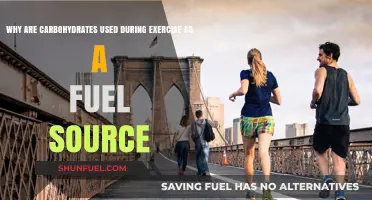 Carbohydrates as Exercise Fuel: Unlocking Energy for Optimal Performance