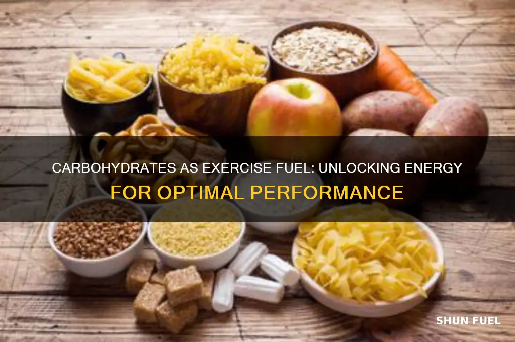 why are carbohydrates used during exercise as a fuel source