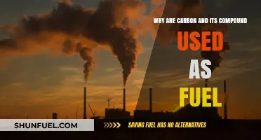 Carbon's Combustion Power: Why Its Compounds Fuel Our World