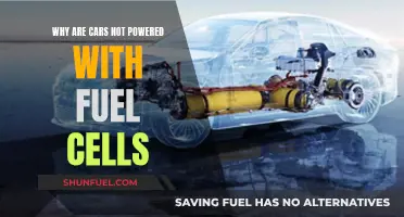 Why Fuel Cells Haven't Revolutionized the Car Industry Yet