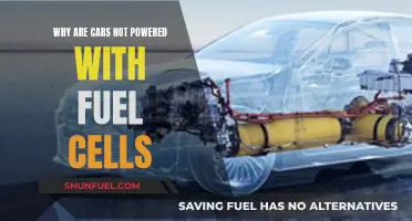 Fuel Cells: Cars' Future Power or a Pipe Dream?