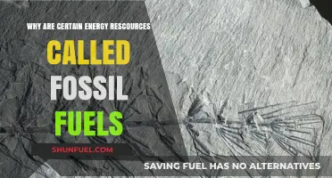 Why Fossil Fuels: Unveiling the Origins of Ancient Energy Sources
