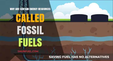 Fossil Fuels: Ancient Energy Sources