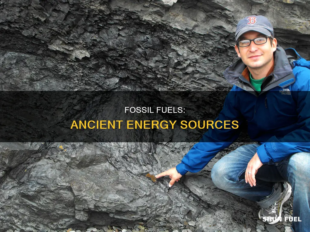 why are certain energy resources called fossil fuels