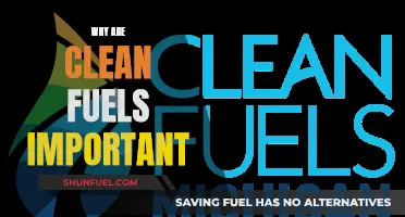 Powering a Sustainable Future: The Vital Role of Clean Fuels