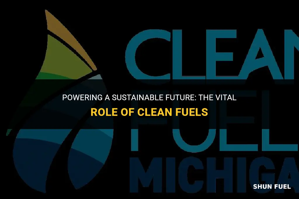 why are clean fuels important