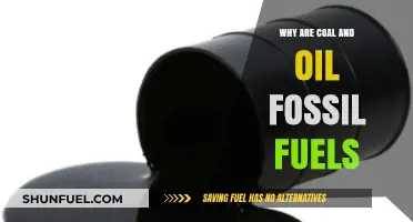 Why Coal and Oil Are Classified as Fossil Fuels Explained