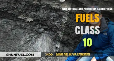 Why Coal and Petroleum Are Called Fossil Fuels: Class 10 Explained
