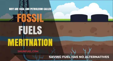 Why Coal and Petroleum Are Classified as Fossil Fuels Explained