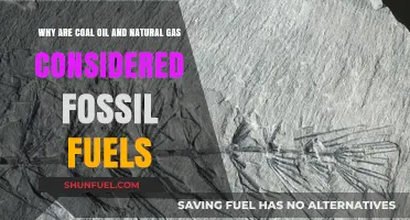 Understanding Fossil Fuels: Coal, Oil, and Natural Gas Origins Explained