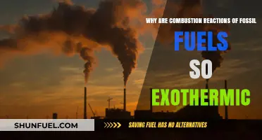 Why Fossil Fuel Combustion Unleashes Massive Exothermic Energy