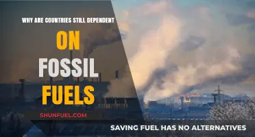 Fossil Fuel Dependence: Why Nations Struggle to Transition to Clean Energy