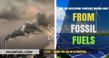 Developing Nations Embrace Clean Energy: Shifting Away from Fossil Fuels