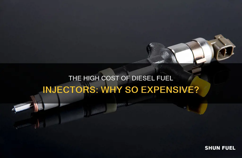 why are diesel fuel injectors so expensive