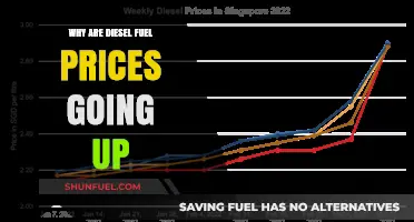 The Rising Cost of Diesel: Why the Price Surge?