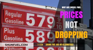 Diesel Fuel Prices: Why Aren't They Dropping?