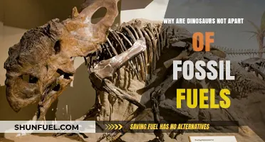 Dinosaurs and Fossil Fuels: Unraveling the Myth of Their Connection