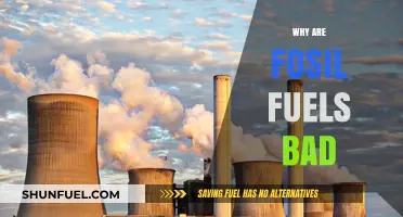 The Hidden Costs of Fossil Fuels: Why They're Harmful to Our Planet
