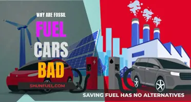 The Dark Side of Fossil Fuel Cars: Uncovering the Environmental Impact