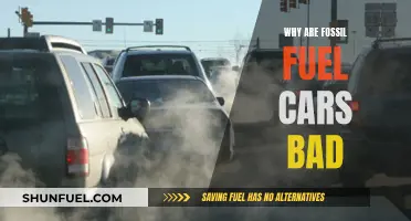 Fossil Fuel Cars: Harmful, Hazardous, and a Health Risk