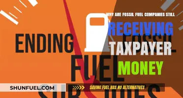 Taxpayer Funds for Fossil Fuels: Why the Subsidies Persist?