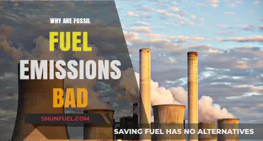 Fossil Fuel Emissions: Harmful Impacts on Climate, Health, and Environment