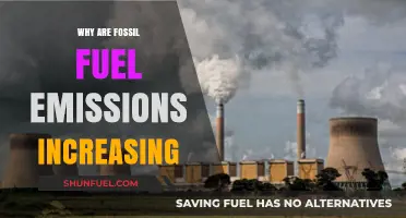 Rising Fossil Fuel Emissions: Causes, Impacts, and Urgent Solutions