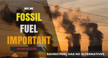 The Crucial Role of Fossil Fuels in Modern Energy Systems