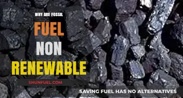 Fossil Fuels: Why They're Non-Renewable and Unsustainable Energy Sources