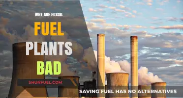 Fossil Fuel Plants: Environmental Harm, Climate Crisis, and Health Risks