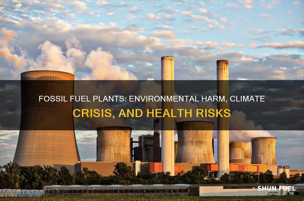 why are fossil fuel plants bad