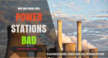 Fossil Fuel Power Stations: Environmental Impacts and Unsustainable Practices