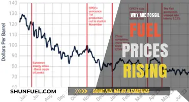 Why Fossil Fuel Prices Are Surging: Causes and Consequences