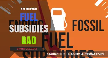 Fossil Fuel Subsidies: Harmful Impacts on Climate, Economy, and Future