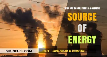 Fossil Fuels: The Dominant Energy Source and Why They Persist