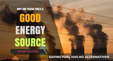 Fossil Fuels: Reliable, Affordable, and Essential for Global Energy Needs