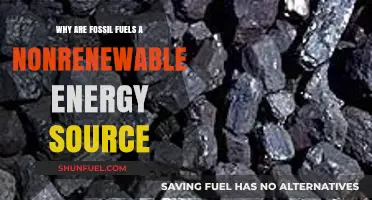 Fossil Fuels: Understanding Their Nonrenewable Nature and Environmental Impact