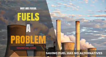 Fossil Fuels' Harmful Impact: Climate Change, Pollution, and Unsustainable Future