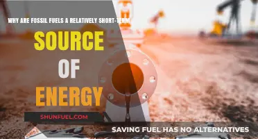 Fossil Fuels: A Finite Resource with Limited Longevity