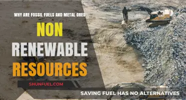 Fossil Fuels and Metal Ores: Understanding Their Non-Renewable Nature