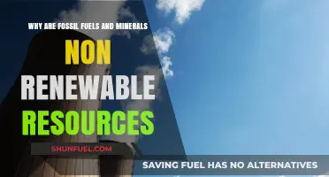 Fossil Fuels and Minerals: Understanding Their Non-Renewable Nature