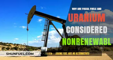 Fossil Fuels and Uranium: Understanding Their Nonrenewable Nature
