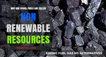 Fossil Fuels: Understanding Their Non-Renewable Nature and Limitations