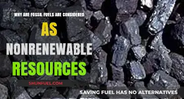Fossil Fuels: Understanding Their Nonrenewable Nature and Environmental Impact
