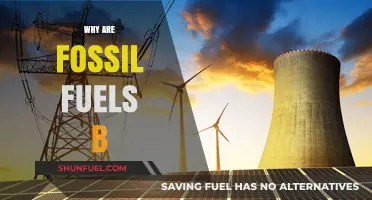 Why Fossil Fuels Remain Dominant Despite Environmental Concerns